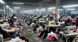 fast fashion s human toll