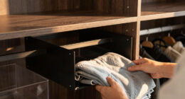 10 Best Premium Closet Organization Systems Fashion in 2026