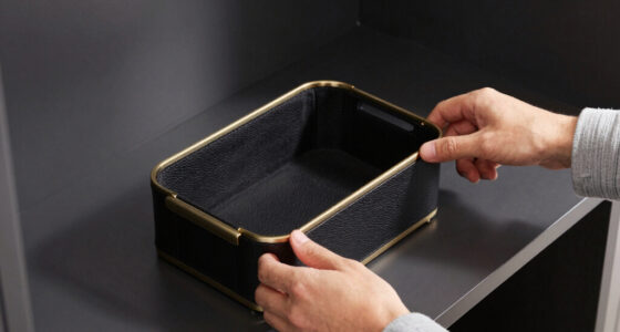 9 Best Luxury Closet Organizers Men in 2026