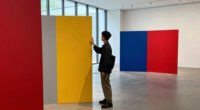 Carsten Höller Splits UCCA Beijing Into ‘Two’ Parallel Color And Monochromatic Worlds