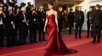 14 Best Celebrity-Inspired Red Carpet Dresses for 2026