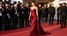 14 Best Celebrity-Inspired Red Carpet Dresses for 2026